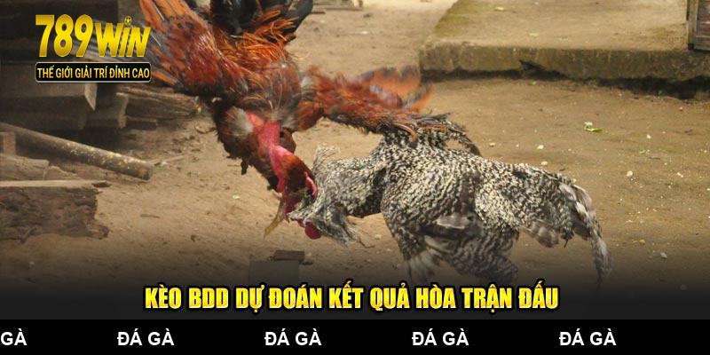 Kèo BDD siêu hời dự đoán kết quả hòa trận đấu chiến kê